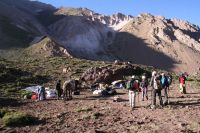 Bilder Chile 2013 14 520 (Kopie)